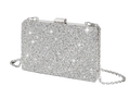 Silver Spark Classic Clutch